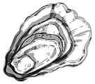 AdobeStock_1103600938_17_edited.png