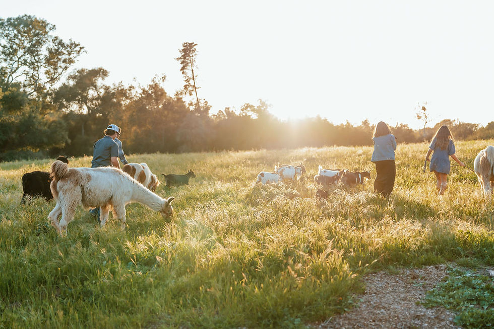 family and animals in field.jpg