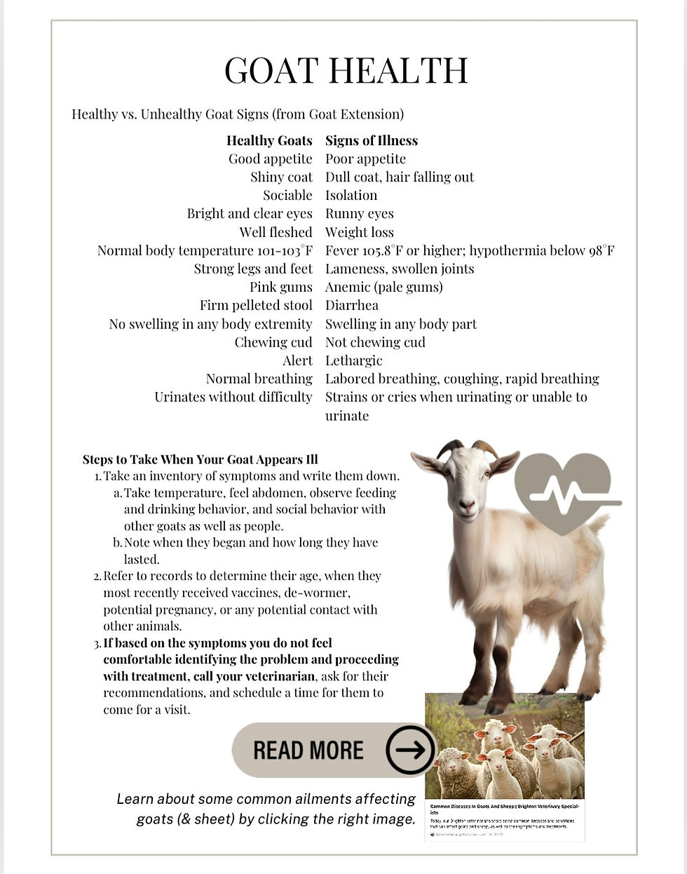Thumbnail: Raising Dairy Goats Comprehensive Course