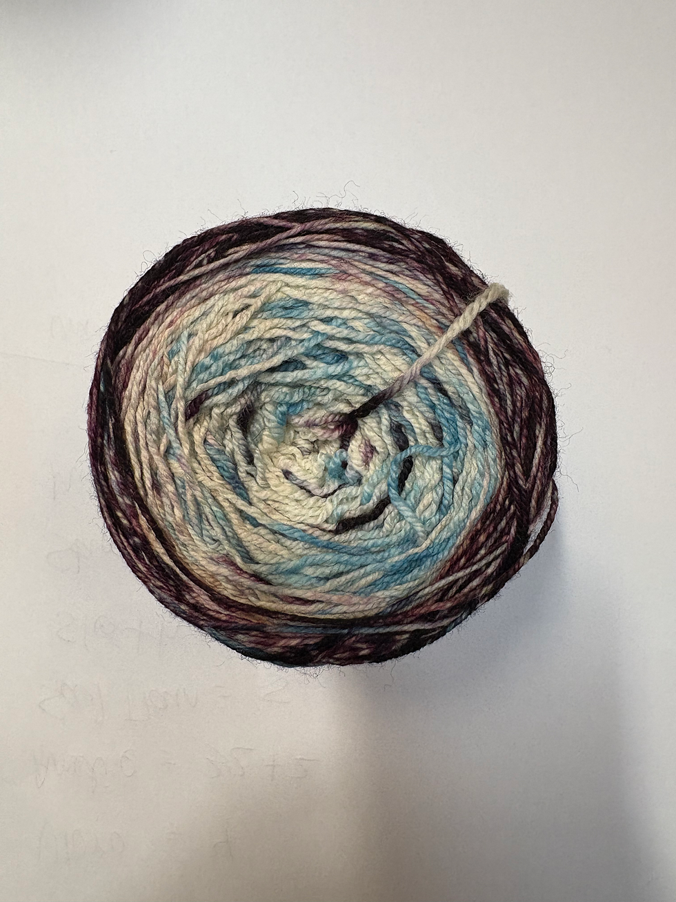 Malabrigo Metamorphosis Unique Color