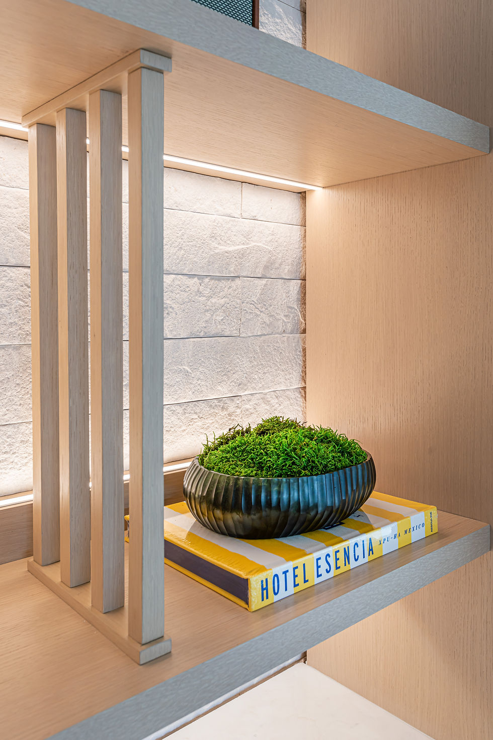 A harmonious blend of textures with natural wood shelving against a stone wall, featuring a vibrant green plant in a ceramic bowl resting on colorful books.