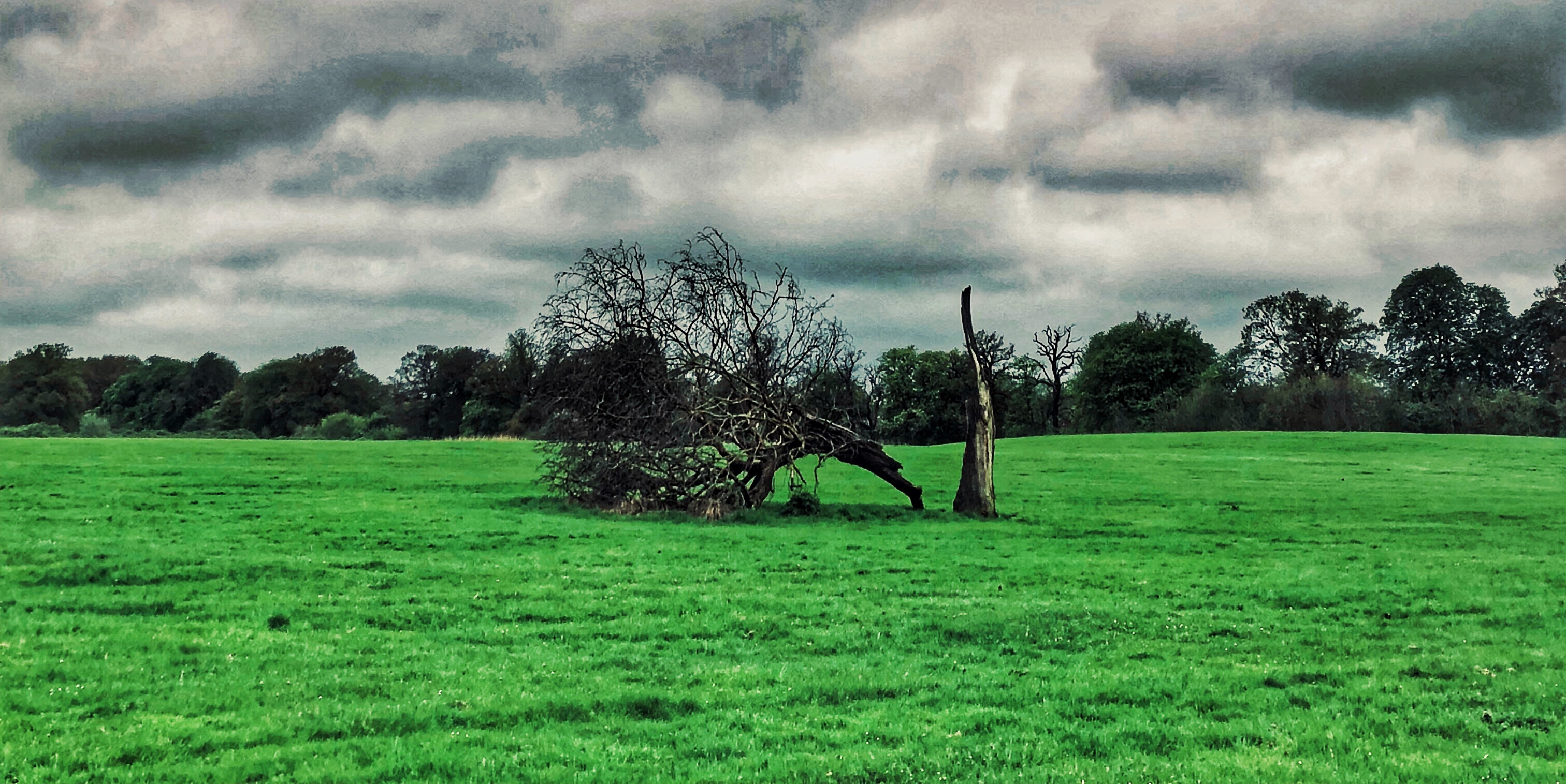 Photo 29-04-2018, 06 38 38