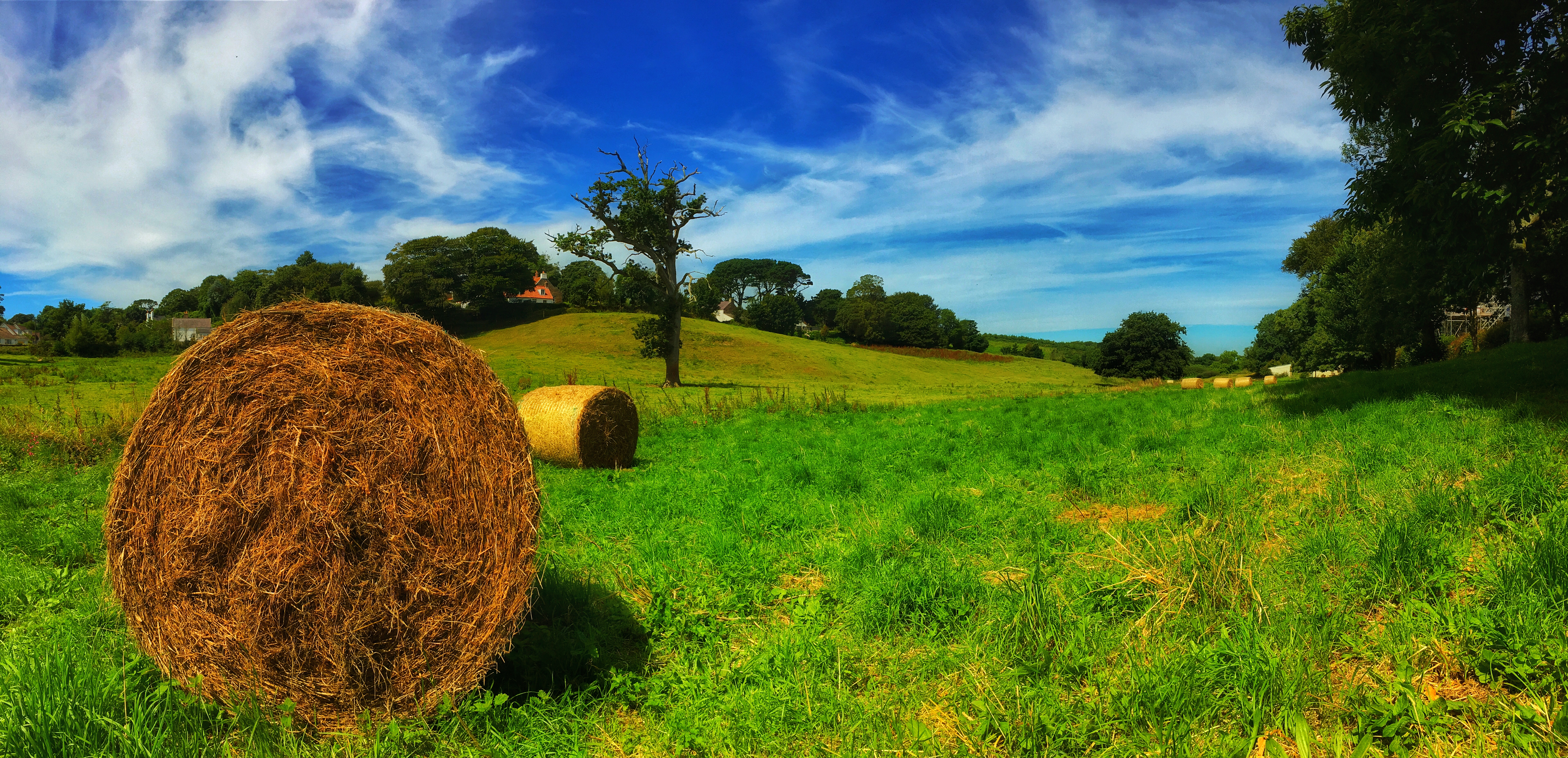 Photo 14-08-2016, 04 21 28
