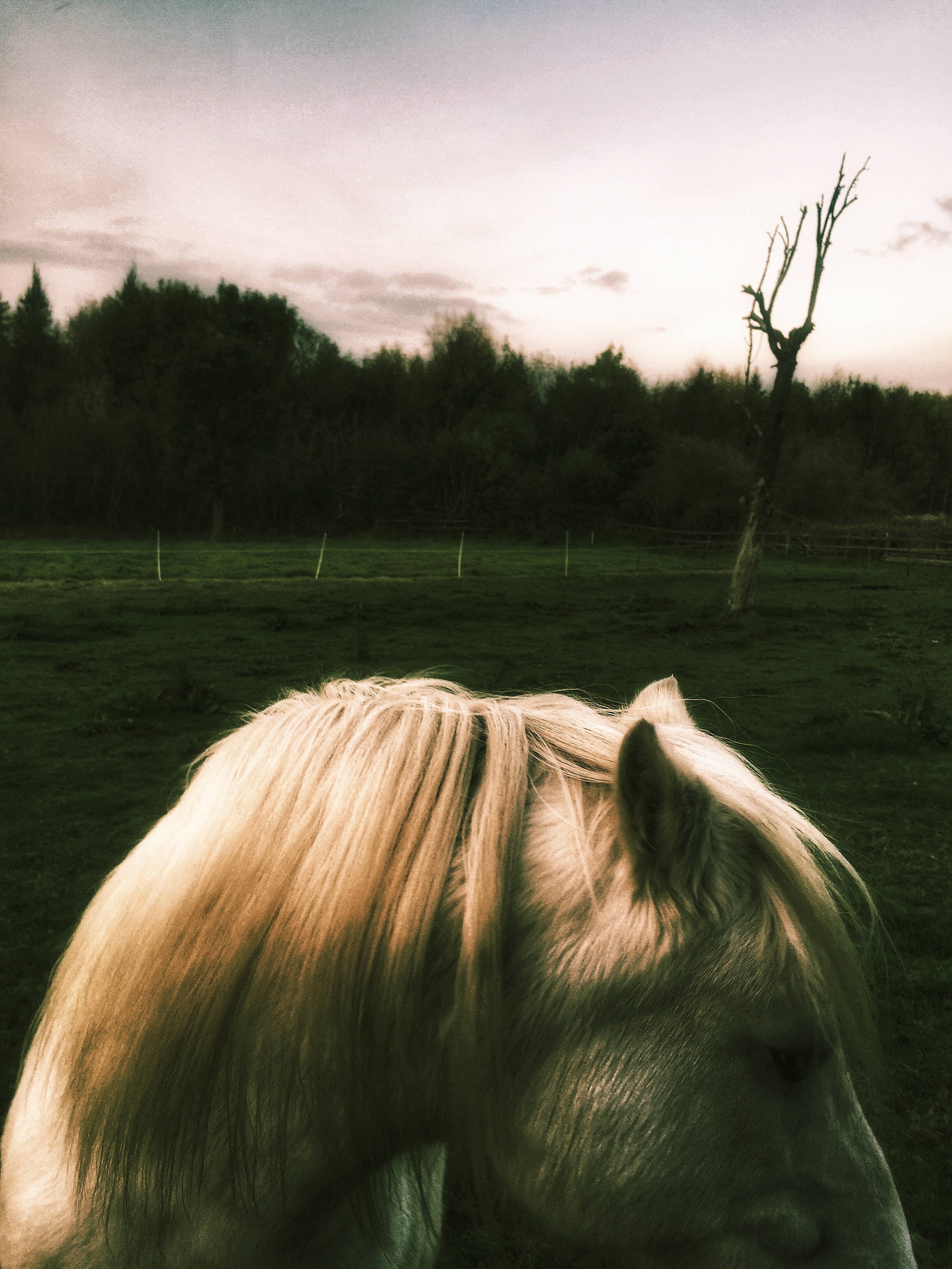 Photo 20-10-2015, 09 54 36
