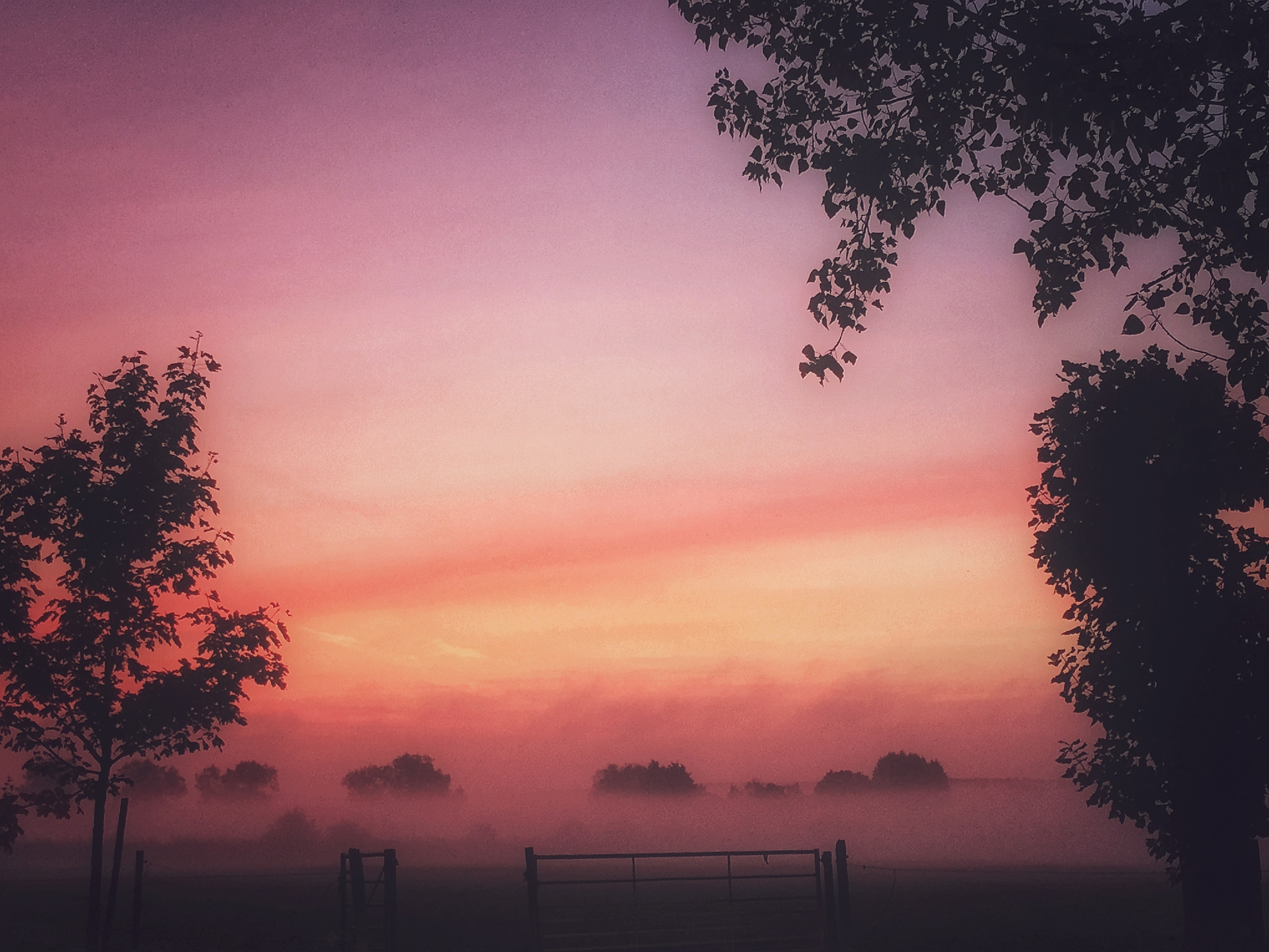 Photo 28-09-2015, 22 38 08