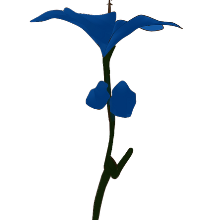 Player plant.png