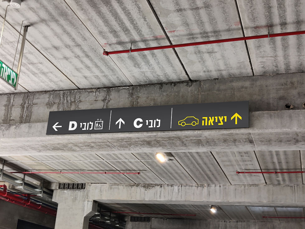 טכנו 2.jpg