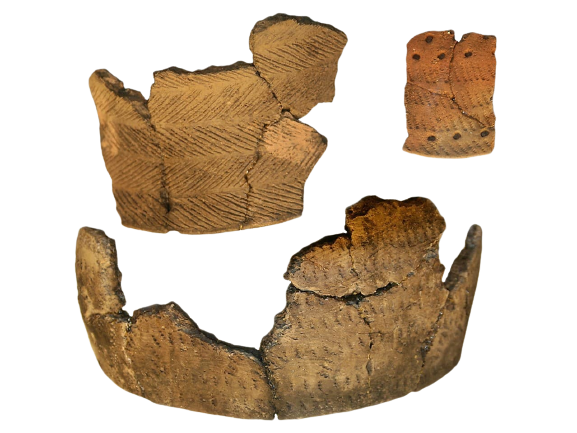 Ceramika kultury grzebykowej – historia i dziedzictwo.