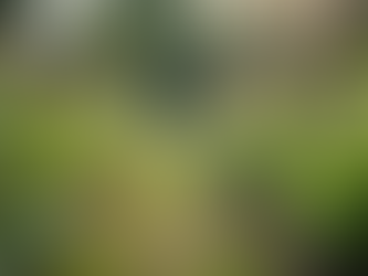 The Importance of Sustainable Living in Today's World