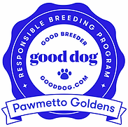 image0(8).png