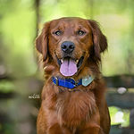 D7D3337D-FB84-4B66-8BB2-214B4F029907.jpeg