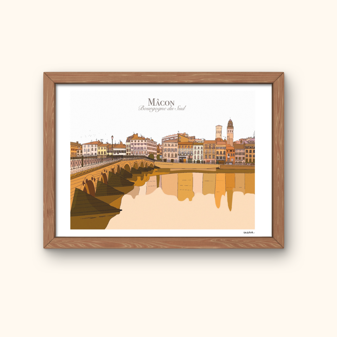 Mâcon - Pont de Saint Laurent