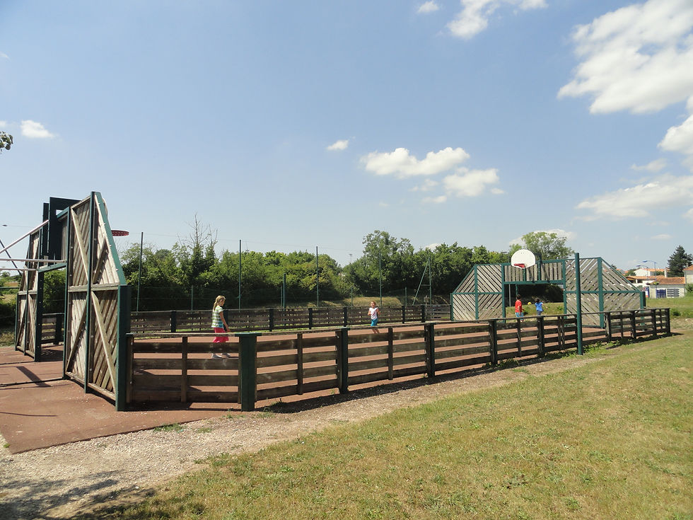 terrain multisports
