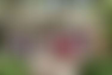 Looking For Hope by Mbinguni