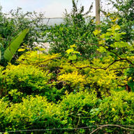 WhatsApp Image 2024-10-11 at 08.44.23 (1).jpeg