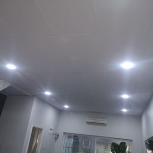 Residential Ceilings