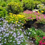 WhatsApp Image 2024-10-11 at 08.44.18.jpeg