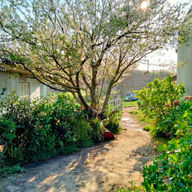 WhatsApp Image 2024-10-04 at 19.48.04