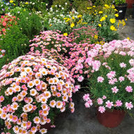 WhatsApp Image 2024-10-11 at 08.44.19.jpeg