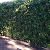 IMG_20220502_114410.jpg