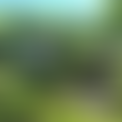 Raggiolo, frazione di Ortignano Raggiolo (AR) - Uno dei borghi più belli d’Italia - Toscana