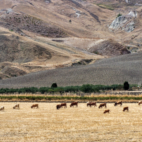 Central Sicily (EN) - Val di Noto - UNESCO World Heritage Site
