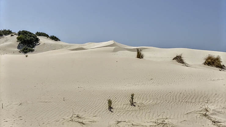 Las Dunas de "Is Arenas Biancas" de Teulada (SU) - (Dunas de Porto Pino) - Cerdeña