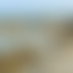 Oasis of Biderosa-5 Beaches Oasis of the Protected Natural Park-Orosei (NU) -Gulf of Orosei-Sardinia