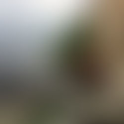 Hermitage of Santa Caterina del Sasso - Reno, hamlet of Leggiuno (VA) - Lake Maggiore - Lombardy