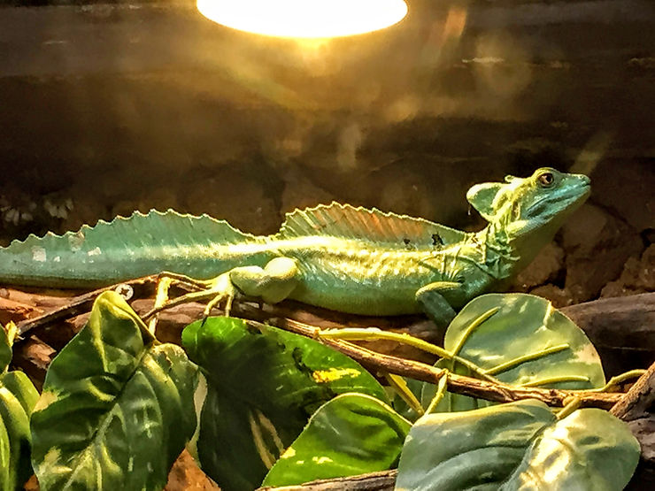 Jardín Zoológico de Pistoia (PT)-Toscana