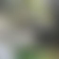 Screaming Cave Waterfall - Premilcuore (FC) - Rabbi River - Casentino Forests National Park, Monte Falterona and Campigna - UNESCO World Heritage Site - Emilia-Romagna