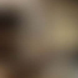 Basilica of San Paterniano - Fano (PU) - Marche