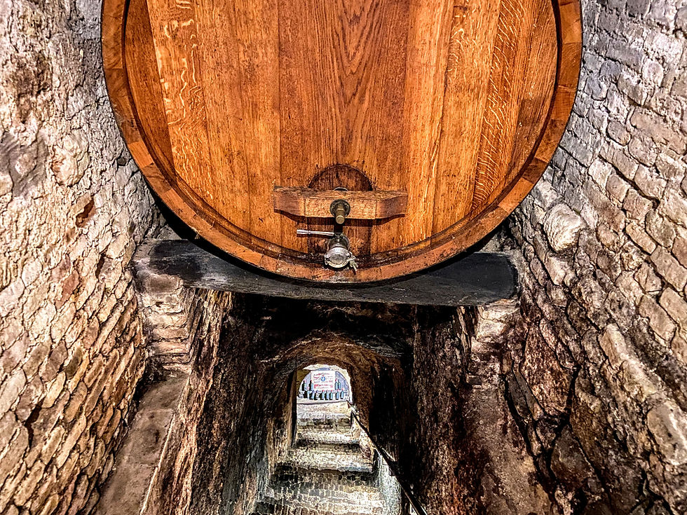 Antiguas Bodegas Contucci - Montepulciano (SI) - Toscana