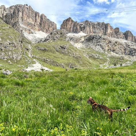 Passo Pordoi - Canazei (TN) e Livinallongo del Col di Lana (BL) - Val di Fassa e Valle di Fodom - Dolomiti - Patrimonio Unesco - Confine tra Veneto e Trentino-Alto Adige