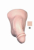 Thumbnail: Lifeline Prosthetics Ultra STP/Packer (Circumcised)