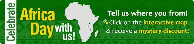 Experience the Rocketseed email magic with your own interactive banner!