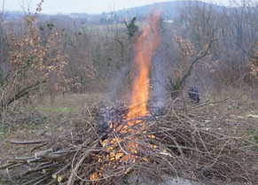 usage du feu3.jpg