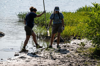 20240912-PZ2_0928_(c)PaulSelvaggio.jpg