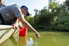 Looking for Nurdles in Raccoon Creek.jpg