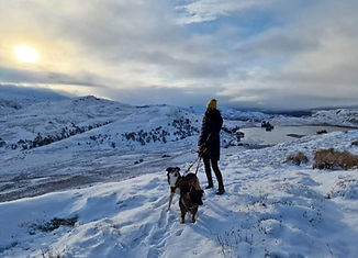 A snowy day in the highlands of scotland where The Enchanted florist of lochaber can deliver anywhere in Lochaber