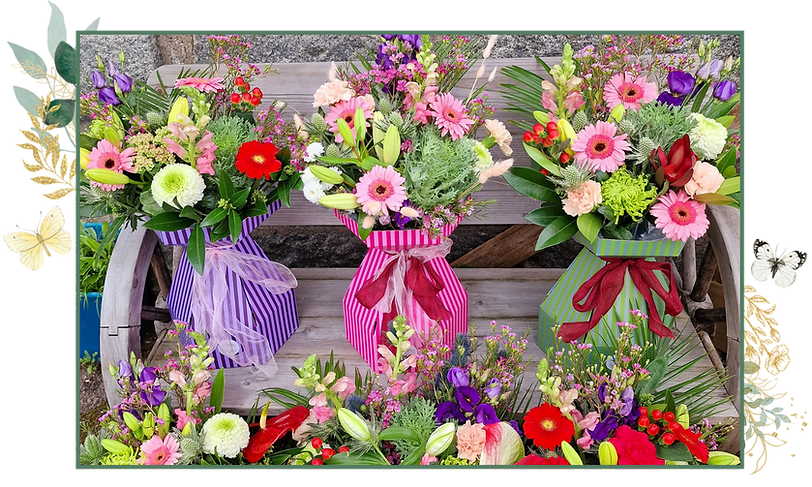 occasion page image 2 (1).png