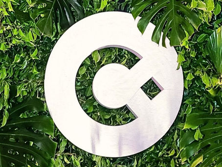 Logo marca circular branca da Colpani Engenharia decorada com plantas.