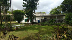 Garden, Rockley New Road