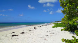 Maxwell Beach, Christ Church