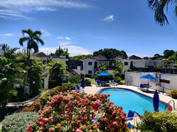 Swimming Pool and Deck, Club Rockley