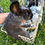 Thumbnail: New Zealand Buck