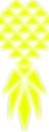 Pineapple-icon-yellow.png