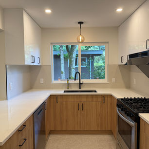 Kitchen Renovation