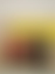 2. SNL am 8.11.2025 in Neumarkt