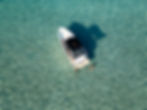 DJI_0090.jpg